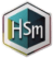 HSM Logo Icon